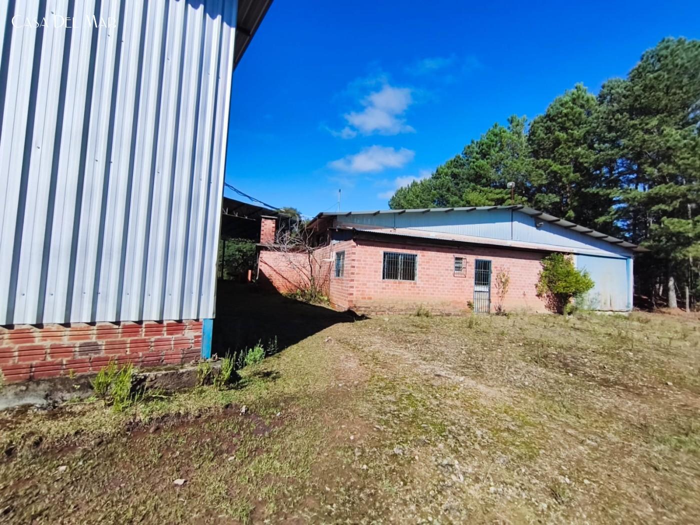 Depósito-Galpão, 2300 m² - Foto 5