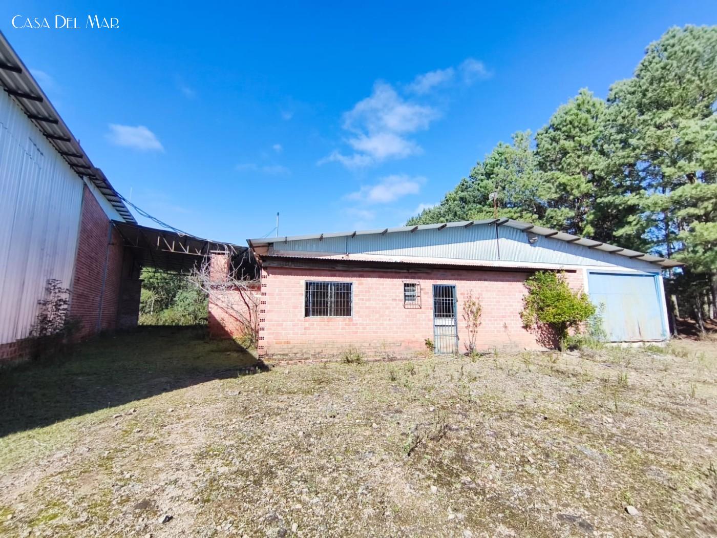 Depósito-Galpão, 2300 m² - Foto 6
