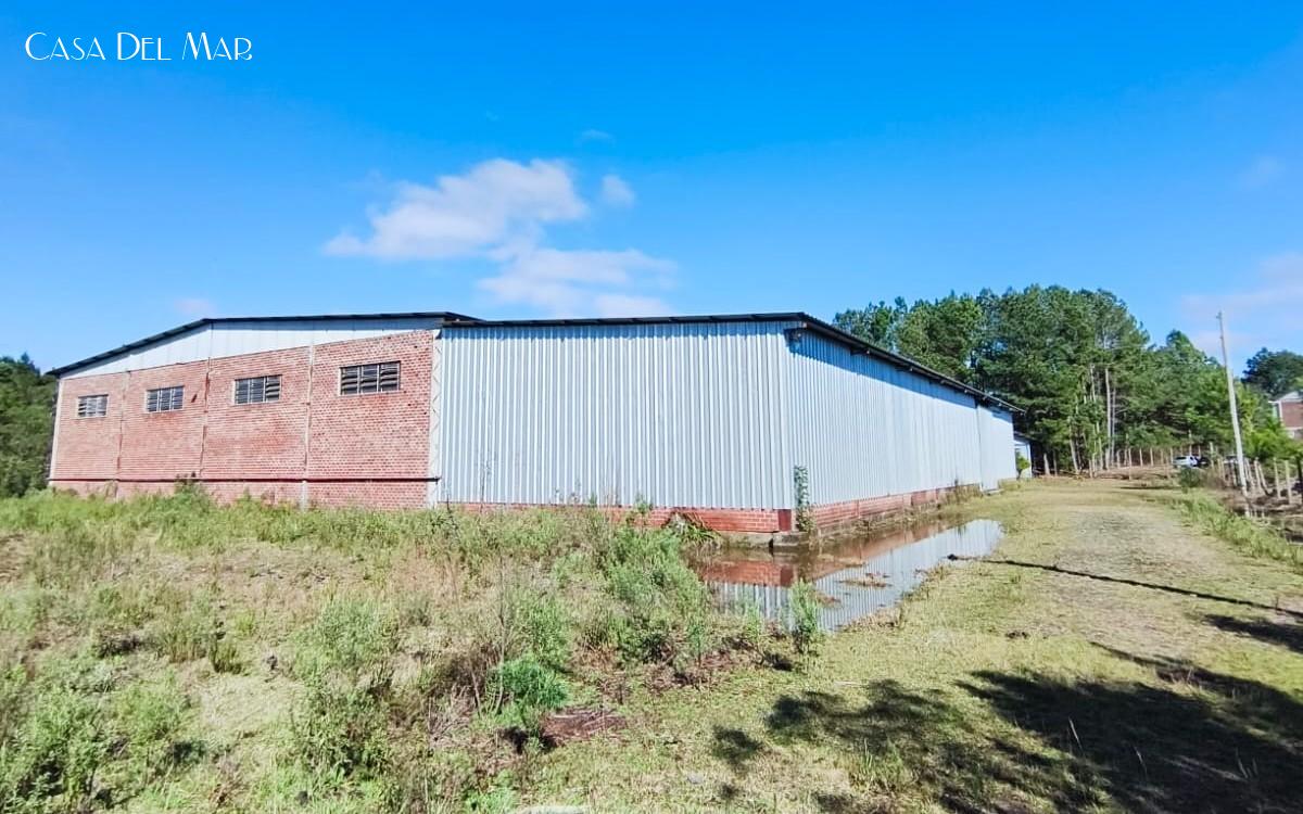 Depósito-Galpão, 2300 m² - Foto 2