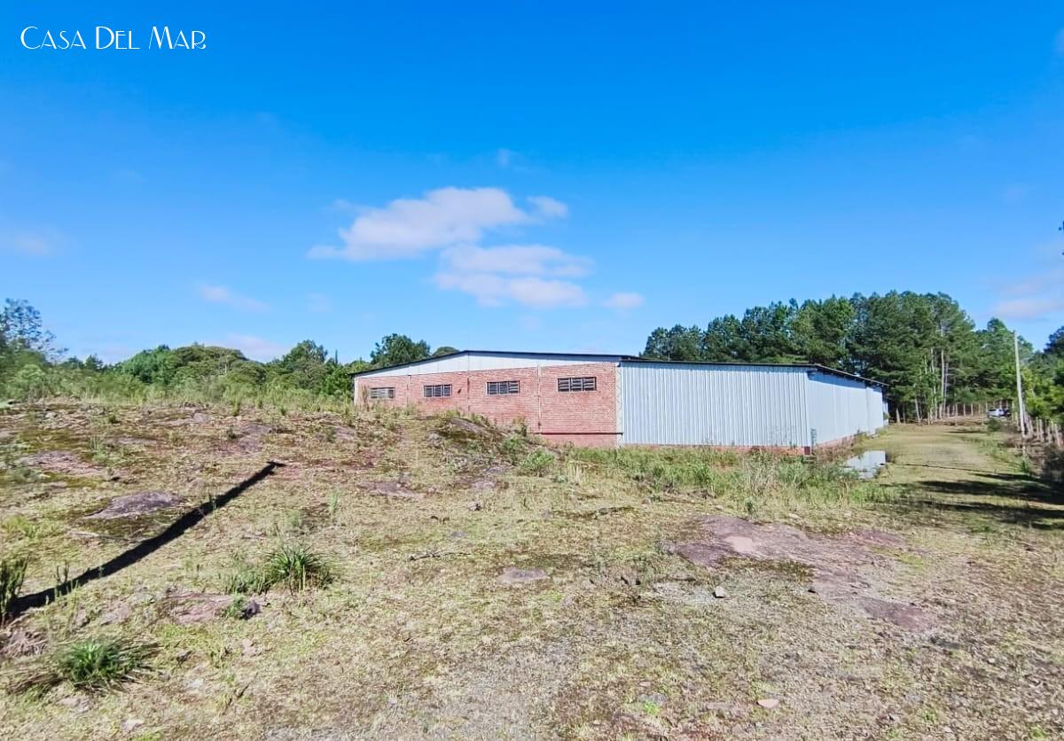 Depósito-Galpão, 2300 m² - Foto 3